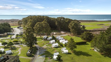 Costanoa koa discount