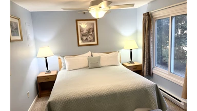 Photo 1 of room type One Bedroom King
