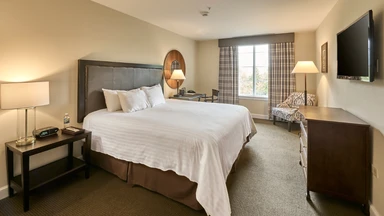 Photo 1 of room type Premier King Room